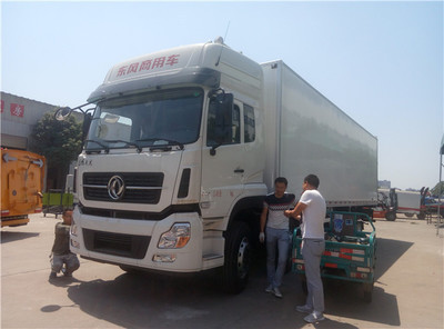 東風天龍9米6后八輪冷藏車 國五標準、性能參數與市場價值解析